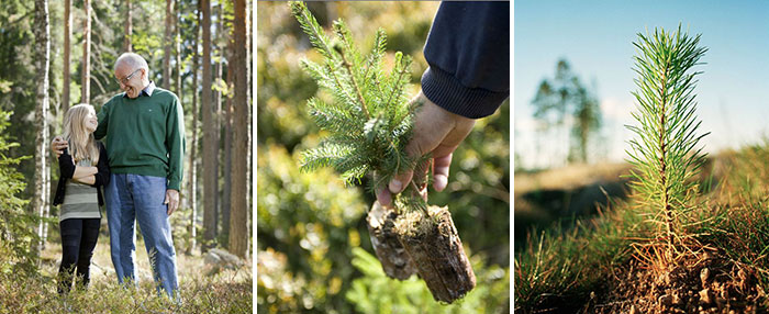 nature, plein air, arbre, bois, homme, automne, feuille, lâ€™agriculture, flore, herbe, croissance, gens, pÃ¢turage, Ã©tÃ©, ferme, sol, jardin, adulte, Ã  lâ€™extÃ©rieur, lâ€™agriculture