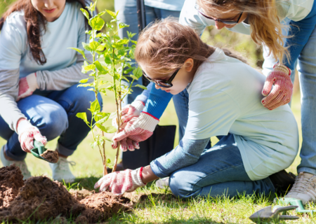 enfant, herbe, amusant, lâ€™Ã©tÃ©, plein air, loisirs, femme, nature, bonheur, famille, personnes, parc, pique-nique, fille, sit, convivialitÃ©, joie, garÃ§on, jouissance, homme